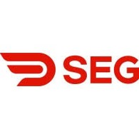 SEG Solar Inc.