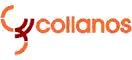 Collanos Software AG