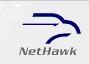 NetHawk GmbH