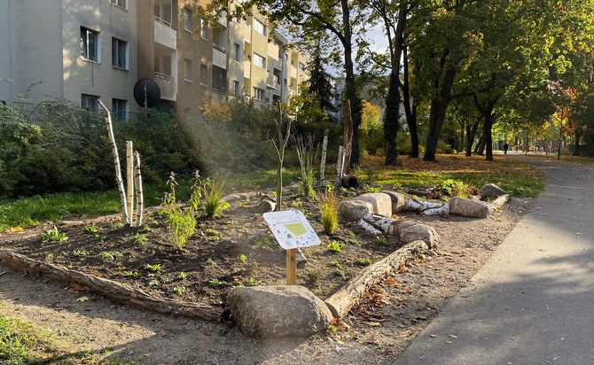 Reinickendorf: Neuer Anreiz, Biodiversität im AVA-Kiez zu erleben 🌿🌸🐝