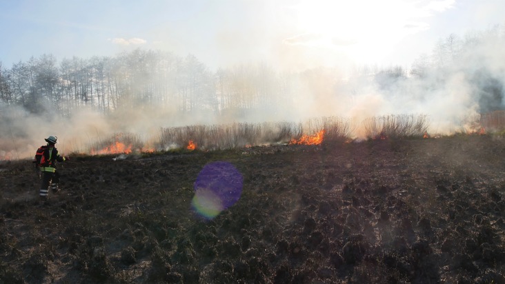 FW Celle: Rund 5.000 m² Schilf- und Grasland brennen in Celle