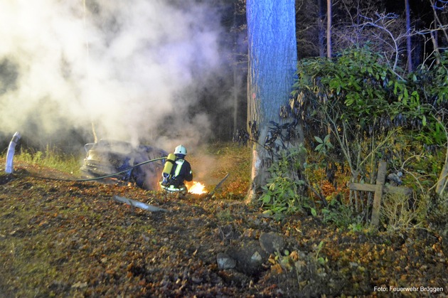 POL-VIE: Nettetal-Schaag: Betrunkene Autofahrerin prallt vor Baum- Fahrzeug brennt aus- Fahrerin unverletzt