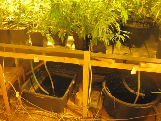 POL-GOE: (34/2014) Indoor-Hanfplantage in Göttingen - Polizei beschlagnahmt rund 630 Pflanzen und 5,6 Kilogramm Marihuana