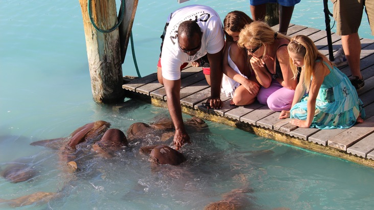 &quot;Die Geissens&quot;: Vom Hai gebissen oder Schwein gehabt?