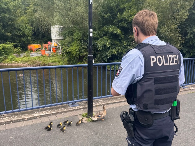 POL-HA: Ungewöhnlicher Einsatz: Polizei rettet Entenfamilie