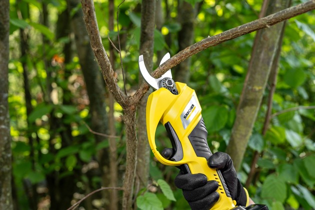 Pressemitteilung: Neue 18-Volt-Akku-Astschere TLO 2-18 von Kärcher