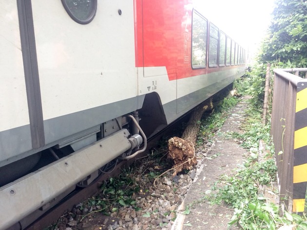 BPOLI-KN: Zug kollidiert mit Baum nahe Bahnhof Ravensburg/ Abschlussmeldung