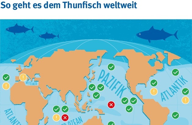 Marine Stewardship Council (MSC): Am 2. Mai ist Weltthunfischtag - und es gibt endlich gute Nachrichten!