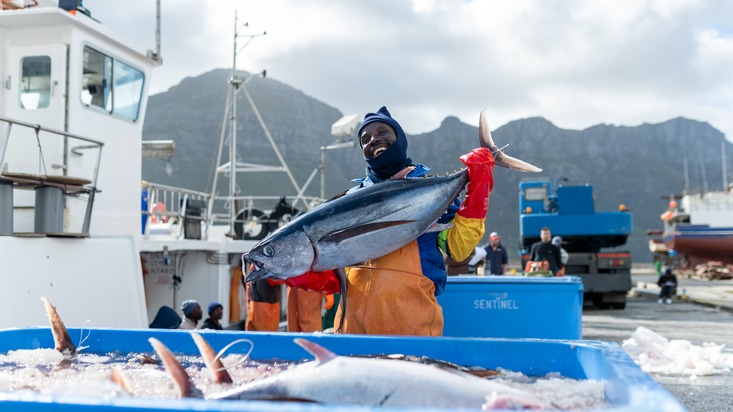 Marine Stewardship Council (MSC): ALDI SÜD Gruppe integriert als erster Einzelhändler weltweit das neue MSC Fischereiverbesserungsprogramm in seine Einkaufsrichtlinie