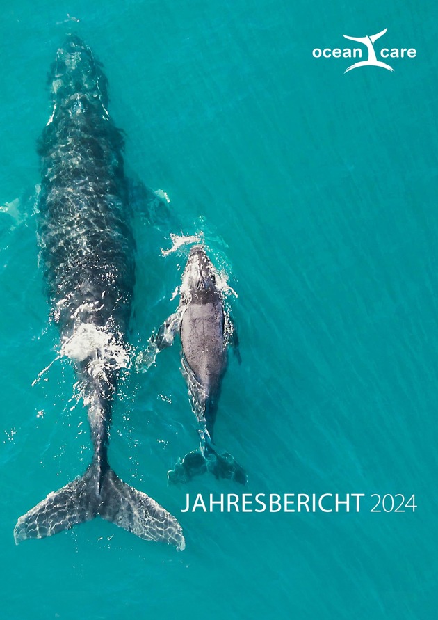 Meeresschutz konkret: OceanCare zieht Bilanz für 2024
