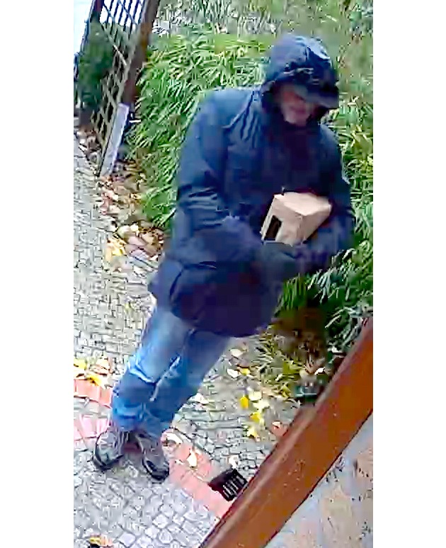 POL-GÖ: (688/2017) Geplanter Raub: 49 Jahre alte Frau im Spickenweg von angeblichem Paketboten in ihrem Haus angegriffen, Polizei fahndet mit Bildern aus Überwachungskamera nach unbekanntem Täter