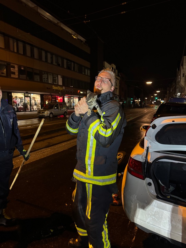 FW-BO: Kuriose Tierrettung