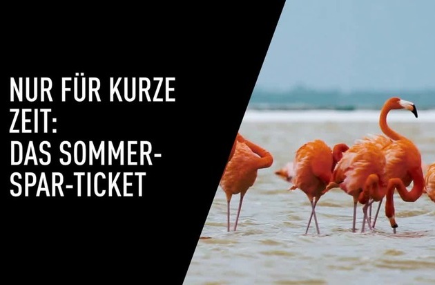 Das Kino-Highlight des Sommers: Das CinemaxX Sommer-Spar-Ticket / Extrem cool: Fünfmal Kino-Spaß für 27,90 Euro**