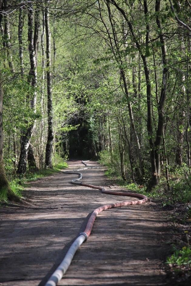 FW-SE: Erneut gro&szlig;er Wald- und Moorbrand im Kreis Segeberg