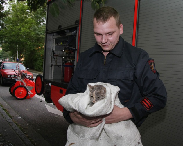 FW-E: Feuerwehr rettet Katze aus gekipptem Fenster und entdeckt dabei auch eine tote Katze
