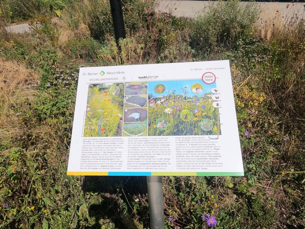 Naturnahe Außenanlagen in der Dr. Becker Kiliani-Klinik