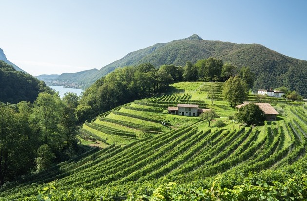 Ticino Turismo: Recommandations pour la fin de l'été et l'automne au Tessin / Des expériences culturelles et naturelles pour des vacances variées