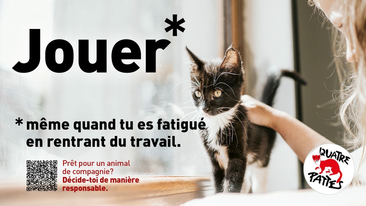 QUATRE PATTES en Suisse lance la campagne &laquo;Pr&ecirc;t pour un animal de compagnie? D&eacute;cide-toi de mani&egrave;re responsable&raquo;