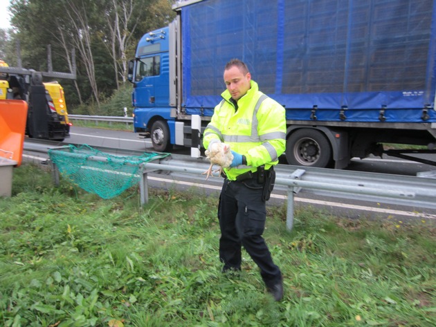 POL-WL: Maschen - Tiertransporter umgekippt ++ Neu Wulmstorf - Polizei stellt Fahrraddieb und sucht Geschädigten ++ Seevetal - Fahrer mit 2,5 Promille verursacht Verkehrsunfall ++ und weitere Meldungen