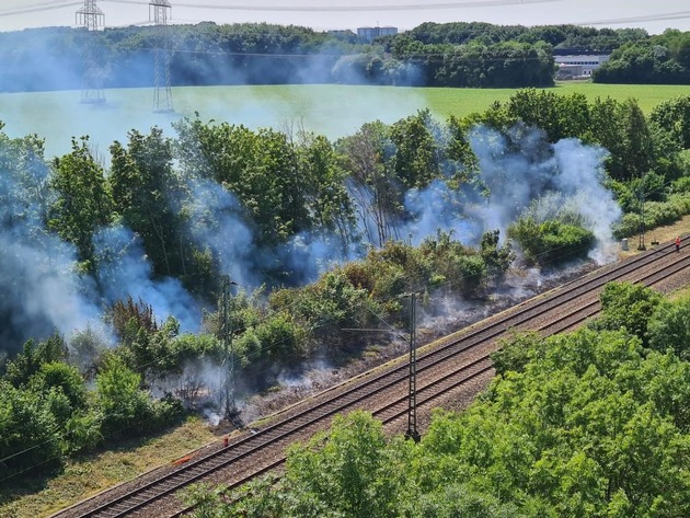 FW-BO: Ausgedehnter Vegetationsbrand in Bochum an der Steller Straße