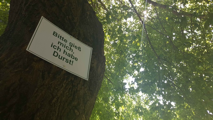 Bund deutscher Baumschulen (BdB) e.V.: Hitzestress für Bäume: Zehn Eimer Wasser pro Woche als Patengeschenk / Jetzt noch Gehölzen durch den Sommer helfen