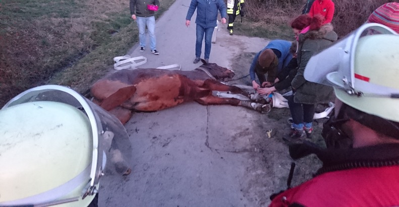 FW-DO: 08.02.2018 - Tierrettung in Grevel
Pferd aus Graben befreit