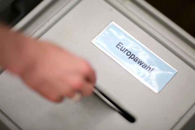 The 2019 European Elections
