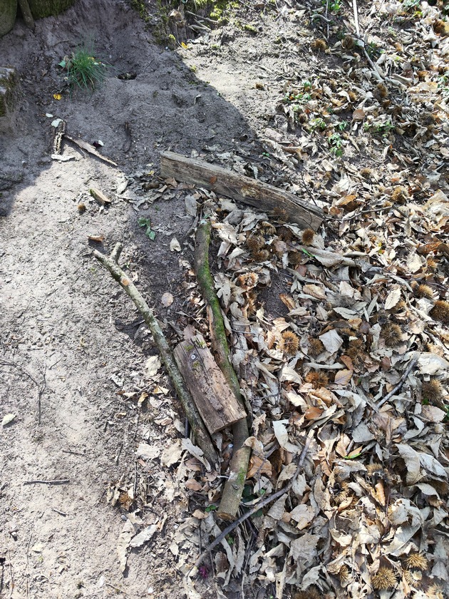 POL-PDLD: Annweiler - Sachbesch&auml;digung Trifelsruhe