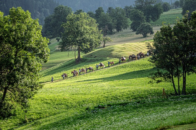 Von Graubünden über Uri und Wallis nach Vevey im Kanton Waadt / Erfolgreicher Einzug der Säumergruppe an der Fête des Vignerons