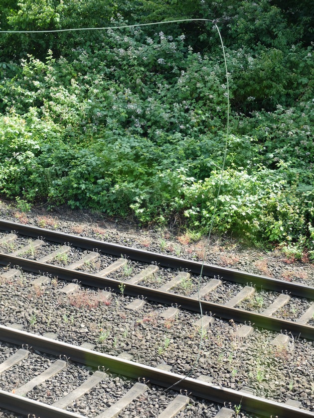 FW-GE: Gerissene Fahrdrahtaufhängung sorgt für Vollsperrung einer Bahnstrecke in Gelsenkirchen Schalke.