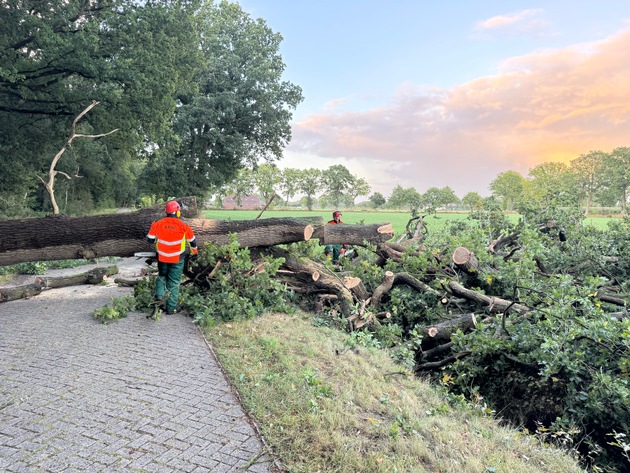 FW-AUR: Straße von umgestürzten Baum freigeräumt