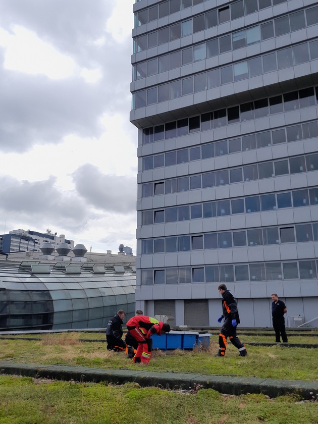 FW Bremerhaven: Höhenrettungsgruppe der Feuerwehr Bremerhaven rettet Entenfamilie vom Dach des Conference Centers Sail City