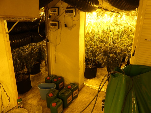 POL-KS: Professionelle Cannabisplantage bei Hausdurchsuchung ausgehoben: Zwei Tatverdächtige in U-Haft