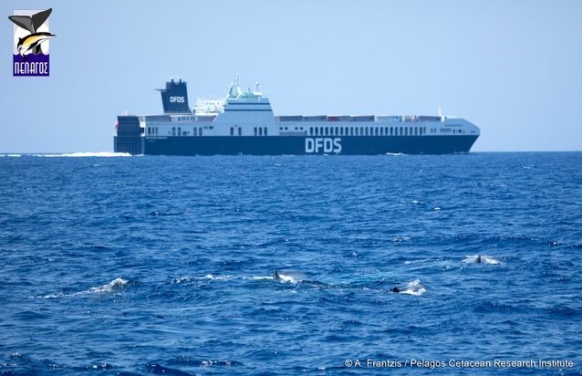 Große dänische Reederei implementiert Maßnahmen zum Schutz gefährdeter Pottwale vor Griechenland