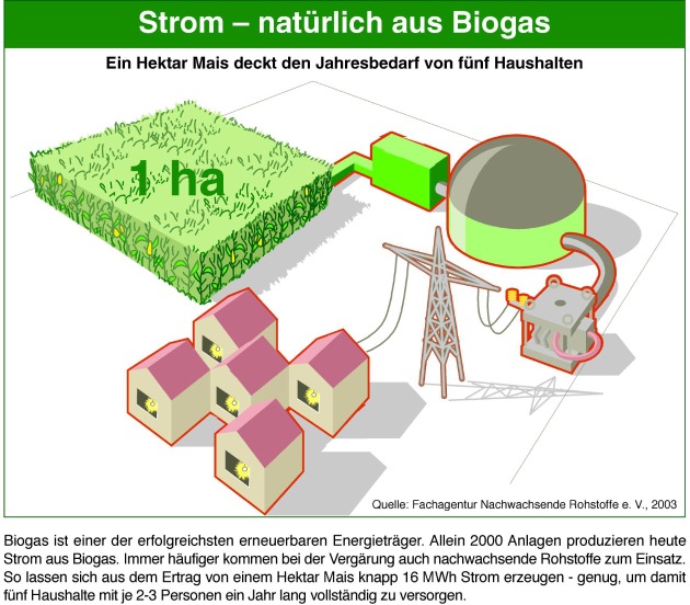 Biogas: Der Landwirt als Stromversorger / Mehr Watt durch Mais und Co