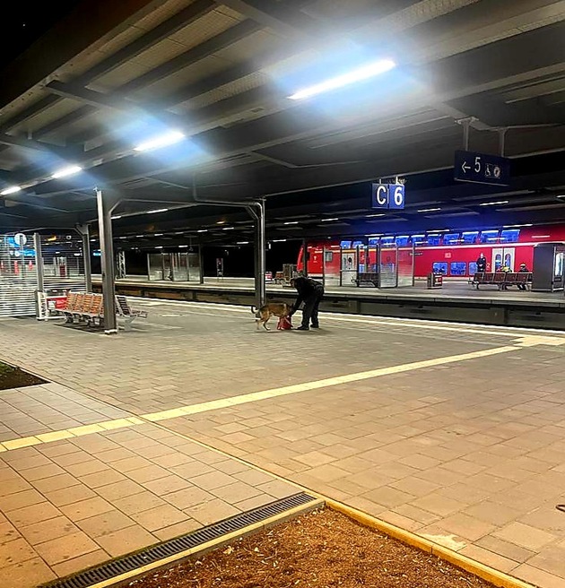 BPOLI MD: Herrenloses Gepäckstück auf dem Hauptbahnhof - Einsatz für Sprengstoffspürhund Nike