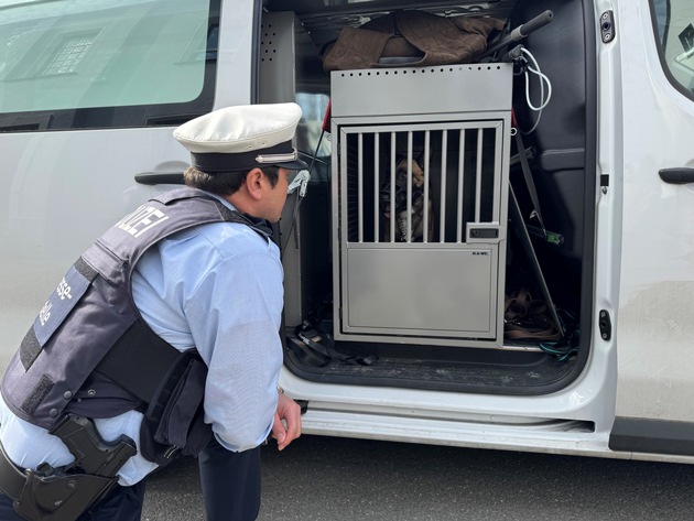 POL-DO: Nach viralen Social Media Video: Polizei nimmt Hund in Obhut