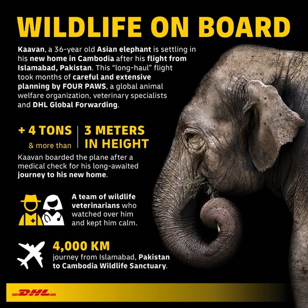 PM: Wildtiere an Bord: Der einsamste Elefanten der Welt reist mit DHL in sein neues Leben / PR: Wildlife on board: DHL safely relocates &quot;the world&#039;s loneliest elephant&quot;