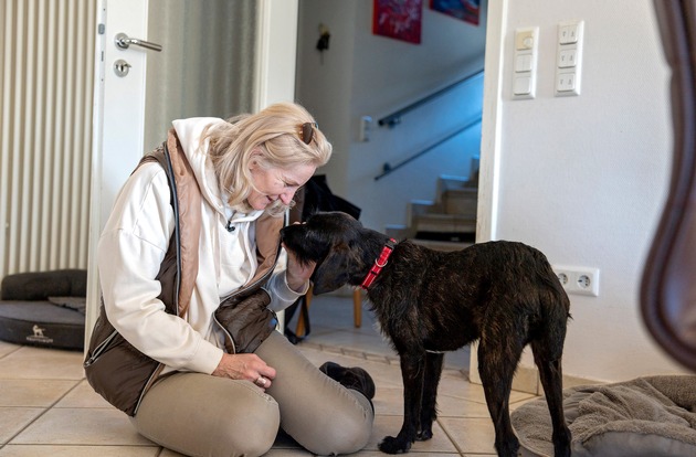„Heimatlose Hunde - Rette mich wer kann“ - MDR zeigt neue Dokuserie über gerettete Tierschutzhunde