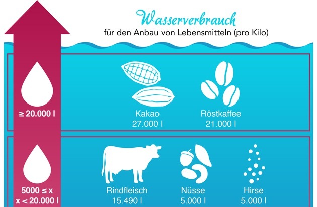 Bis zu 27.000 Liter Wasser pro Kilo: Diese Lebensmittel verbrauchen am