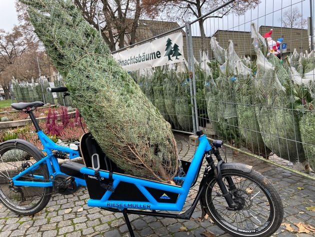 Tipps zum Weihnachtsbaumtransport / ADAC: so schafft es der Weihnachtsbaum sicher nach Hause