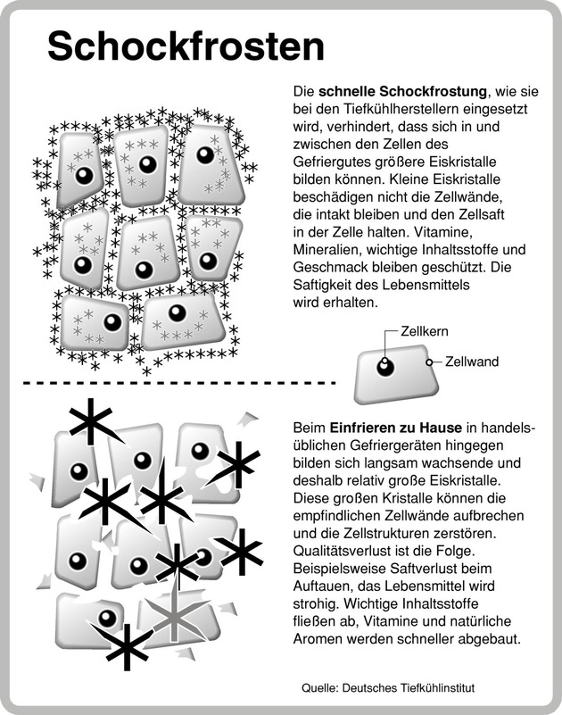 Schockfrostung: schnell und schonend / Tiefkühlkost qualitativ besser als selbst einfrieren