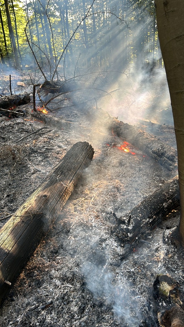 FW-AR: Feuerwehr Ense und Arnsberg bekämpfen Waldbrand