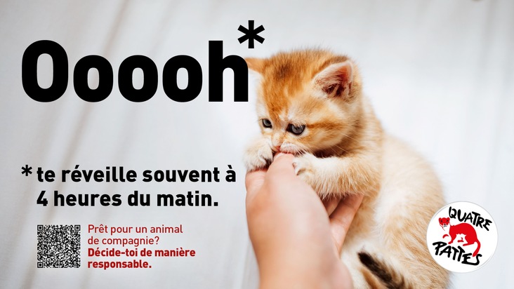 QUATRE PATTES en Suisse lance la campagne &laquo;Pr&ecirc;t pour un animal de compagnie? D&eacute;cide-toi de mani&egrave;re responsable&raquo;