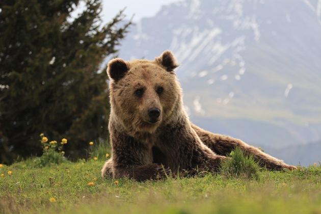 Keine Ferien auf Kosten der Tiere