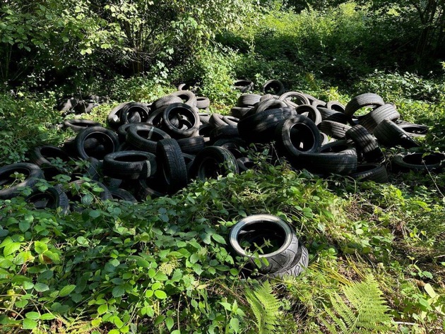 POL-FR: Albbruck- Albert: Altreifen im Wald am Mühlbach entsorgt - Zeugen gesucht