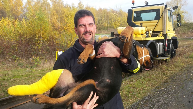 FW-D: Shila entlaufen und verletzt - Feuerwehr hilft Rottweilerdame