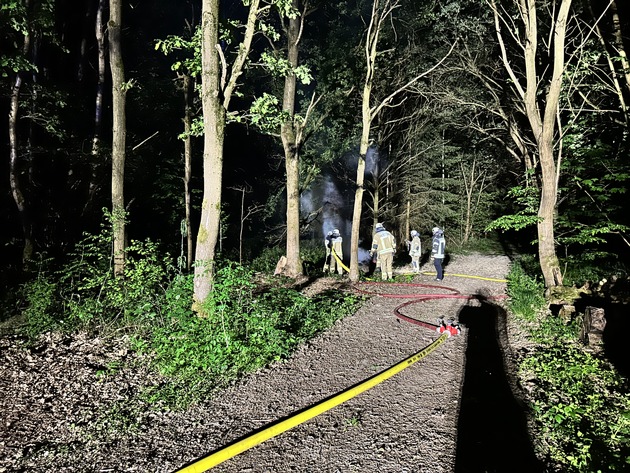 FW Lage: Feuer Fläche/Wald - 10.05.25 - 22:12 Uhr