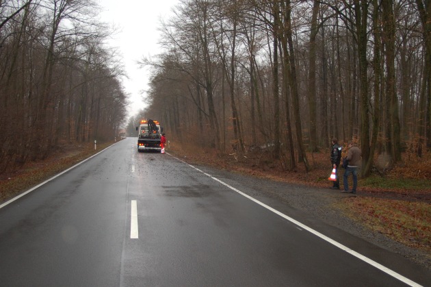 POL-STH: Verkehrsunfall im Forst Spießingshol