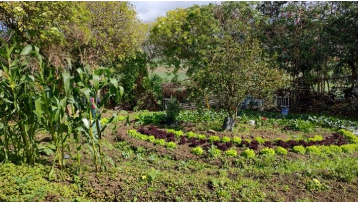 Weltwassertag 2026: &bdquo;Wasser ist Leben&ldquo;